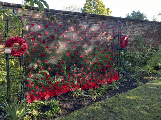 Poppy day celebrated giving a blooming sense of purpose to the walled garden